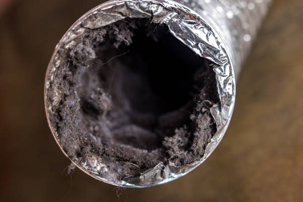 Best Best Air Duct Cleaning Company  in Iona, FL